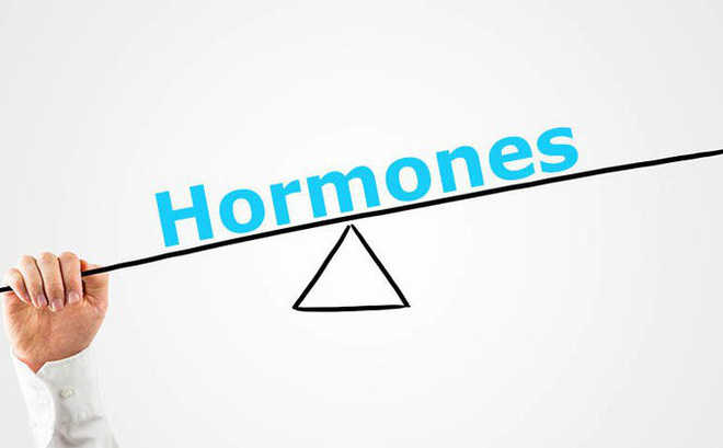 Để hoạt động tâm sinh lý được diễn ra bình thường, cơ thể nam giới sẽ điều phối, cân bằng hàm lượng homrone nam giới testosterone ở mức ổn định.