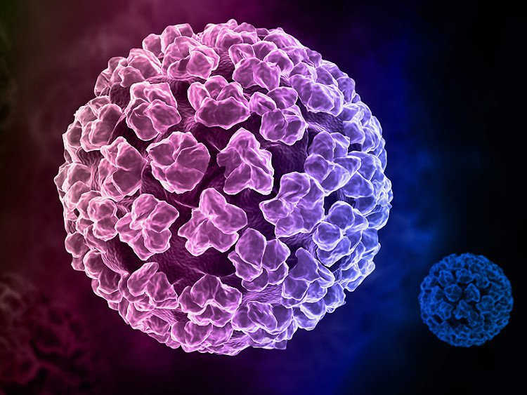 Nhiễm virus u nhú ở người (HPV)